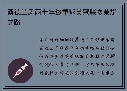 桑德兰风雨十年终重返英冠联赛荣耀之路